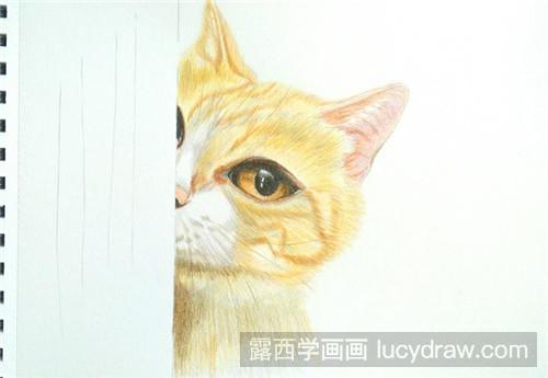 彩铅画教程：害羞小猫咪