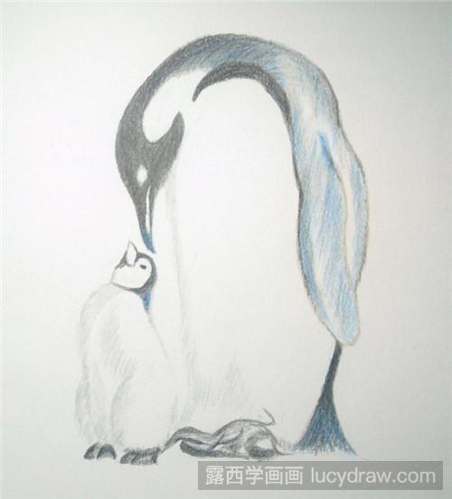 企鹅彩铅画教程