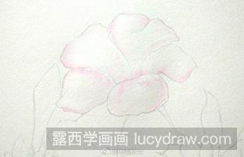 水彩画紫茉莉花步骤教程