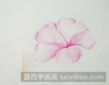 水彩画紫茉莉花步骤教程