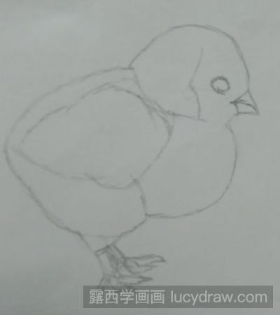 素描教程：教你画小鸡