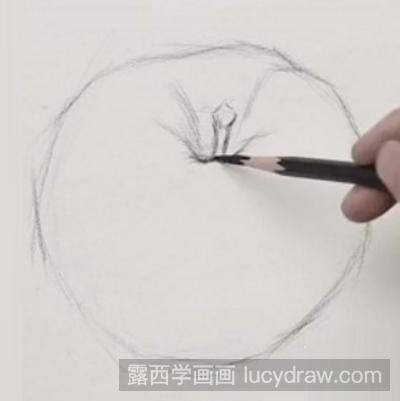 素描教程：教你画苹果