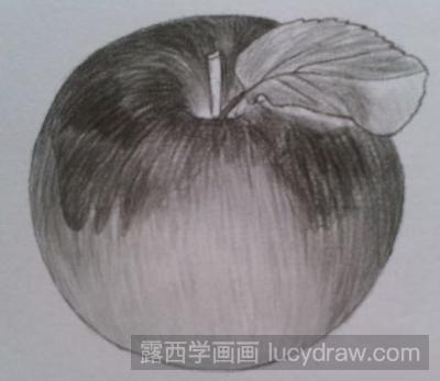 教你苹果素描画