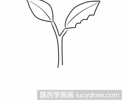 简笔画教程：怎么画吃树叶的虫子