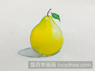 水彩画教程：怎么画柚子