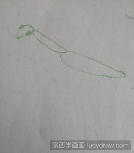 彩铅画教程：彩色铅笔教你画一只简单的螳螂