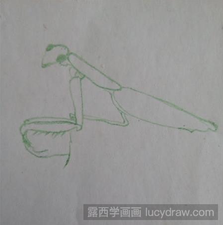 彩铅画教程：彩色铅笔教你画一只简单的螳螂