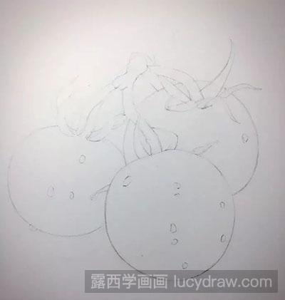 彩铅画教程：怎么画西红柿