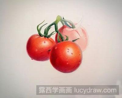 彩铅画教程：怎么画西红柿