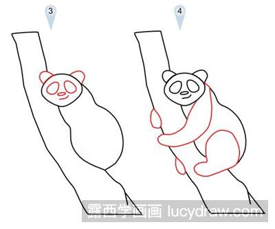 画完善眼珠,画嘴里吃着竹子第六步:涂色完成大熊猫平时的生活,除了吃