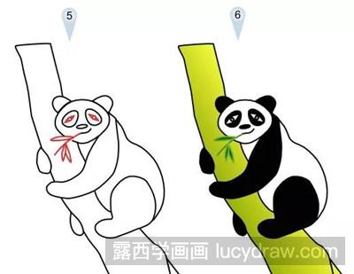 高清看图第五步:画完善眼珠,画嘴里吃着竹子第六步:涂色完成大熊猫
