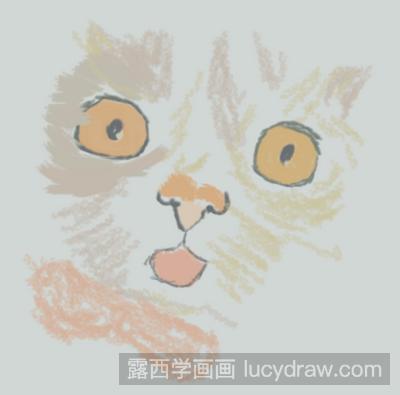 彩铅画教程：教你画猫咪