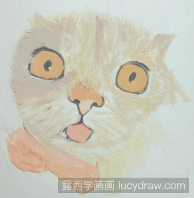 彩铅画教程：教你画猫咪