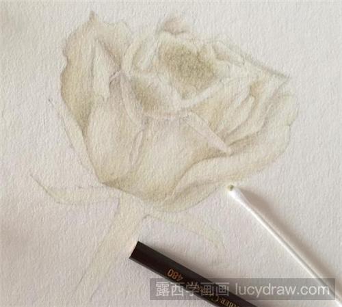 白玫瑰彩铅画教程