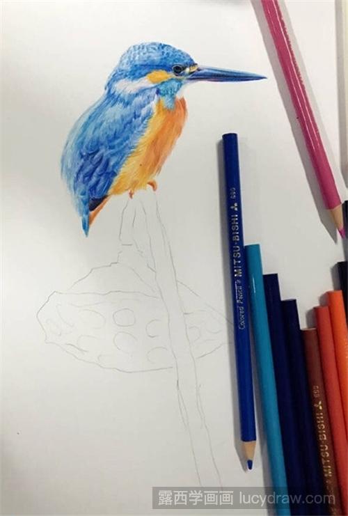 彩铅画教程：立在莲蓬上的翠鸟