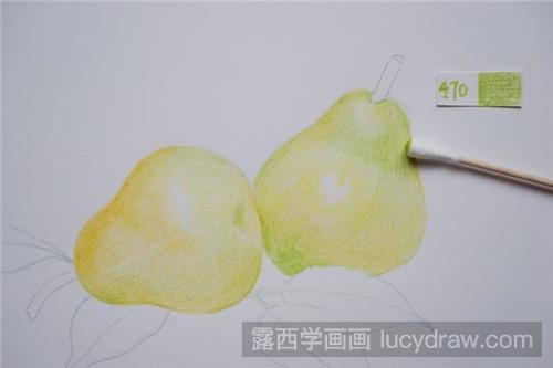 彩铅画教程：两只小香梨