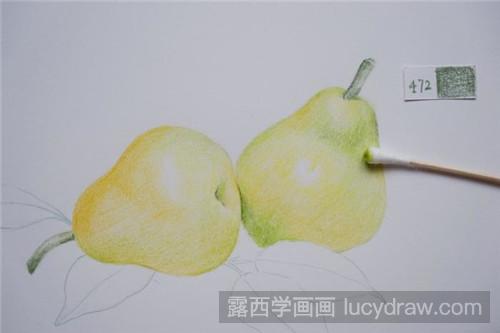 彩铅画教程：两只小香梨