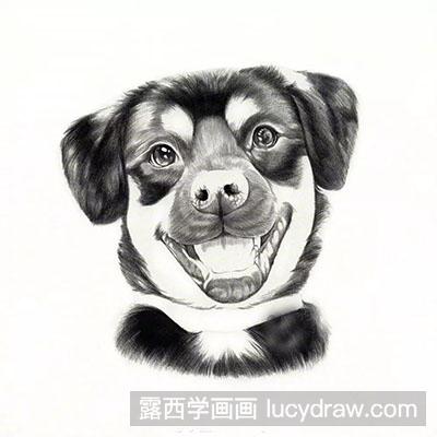 彩铅画教程怎么画狗
