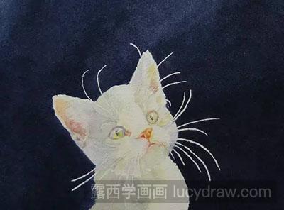 水彩画教程怎么画猫咪
