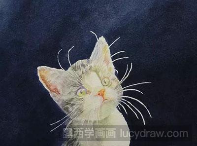 水彩画教程怎么画猫咪
