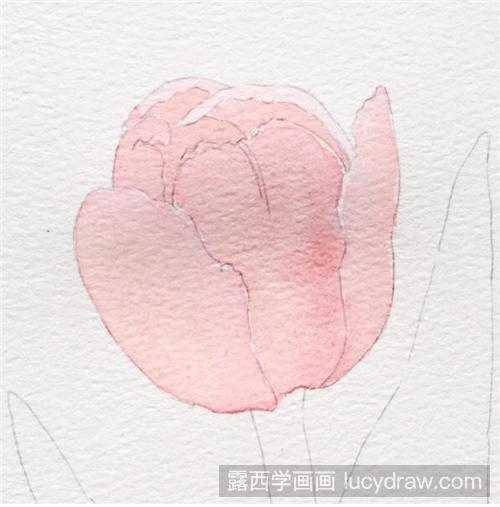 水彩画教程：粉色郁金香