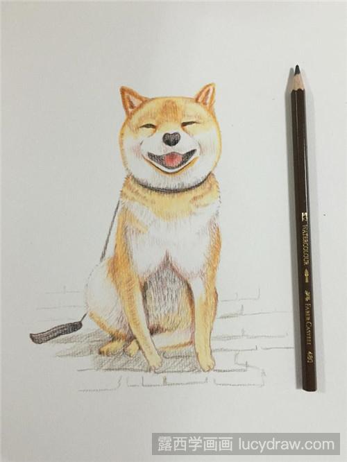 小柴犬彩铅画教程