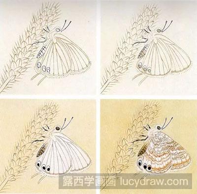 工笔画教程：蝴蝶的绘制方法