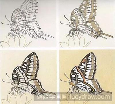 工笔画教程怎么画蝴蝶