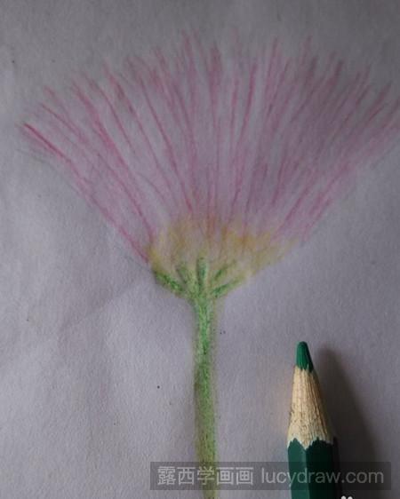 简笔画教程：教你画合欢花
