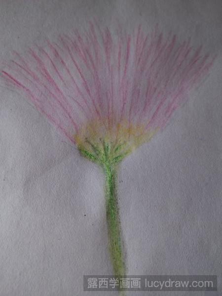 简笔画教程：教你画合欢花