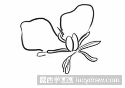 简笔画教程栀子花怎么画