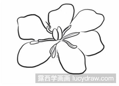 简笔画教程栀子花怎么画