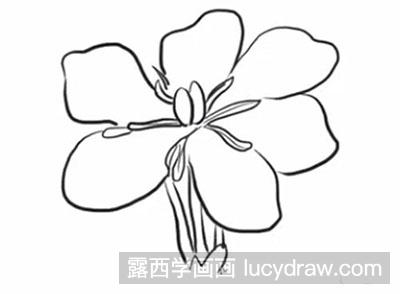 简笔画教程栀子花怎么画