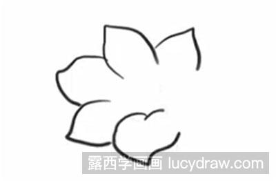 简笔画教程怎么画杜鹃花