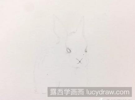 水彩画教程：教你画萌萌哒小奶兔