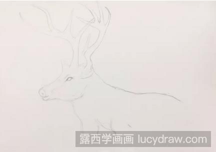 水彩画教程：教你画麋鹿