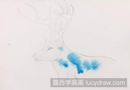 水彩画教程：教你画麋鹿