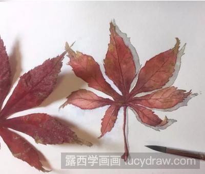 水彩画教程：教你画一片枫叶