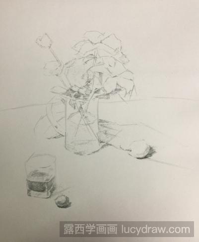 素描静物花卉的画法步骤教程
