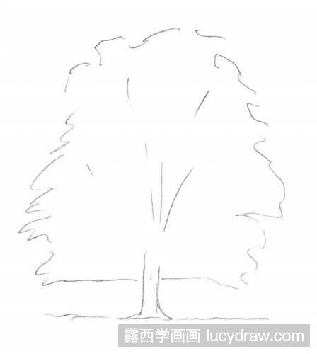 落叶树的素描教程