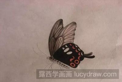 工笔画教程怎么画蝴蝶与紫藤花