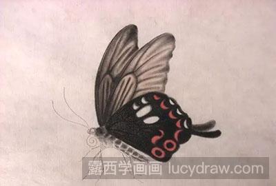 工笔画教程怎么画蝴蝶与紫藤花