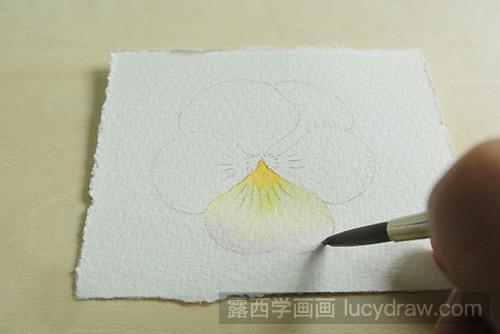 水彩画教程：教你画三色堇花瓣