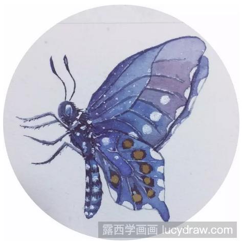 水彩画教程：教你画蓝色蝴蝶