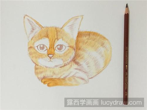 大耳猫彩铅画教程