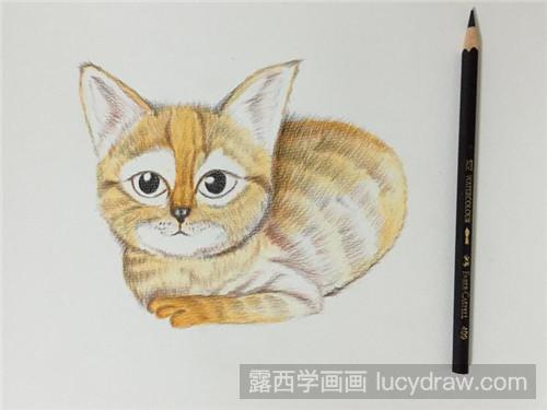 大耳猫彩铅画教程