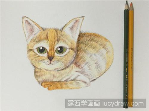 大耳猫彩铅画教程