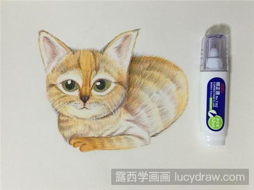 大耳猫彩铅画教程