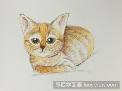 大耳猫彩铅画教程