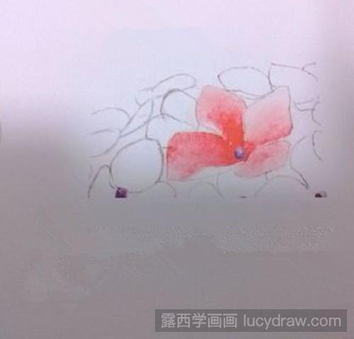 水彩画教程：怎样画一幅水彩绣球花
